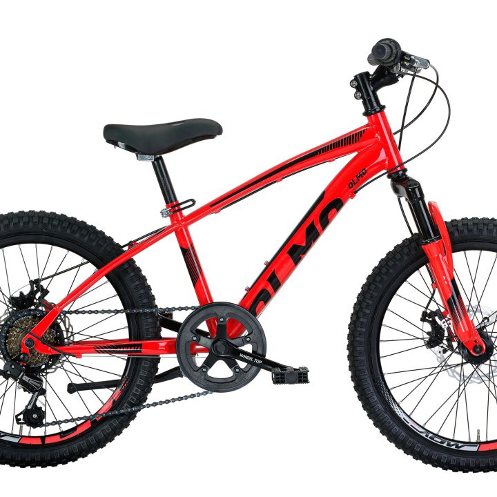 olmo mtb demonte 20 6v disco 306